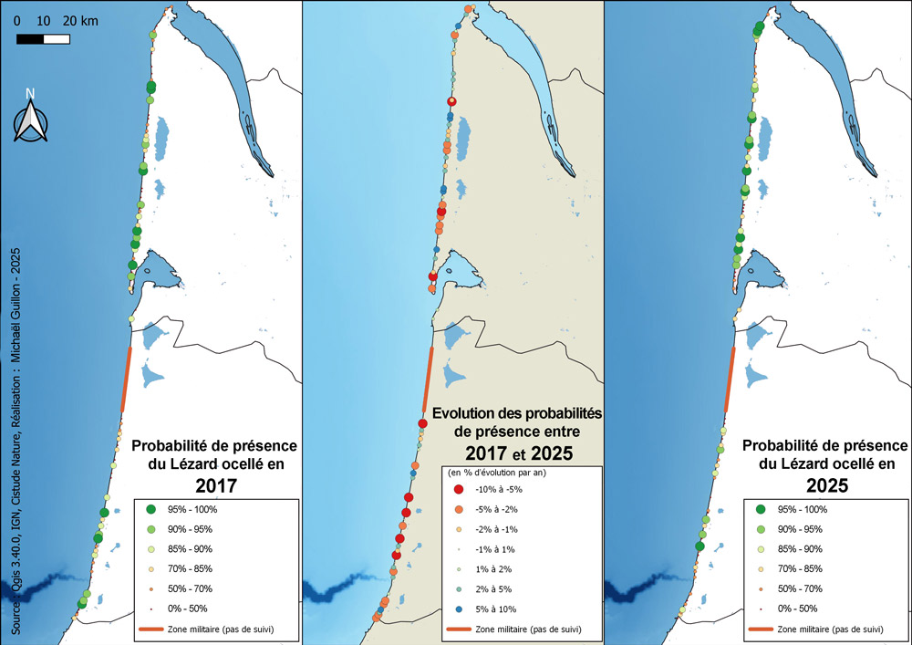 Cartes de probabilité de présence du Lézard vivipare en 2017 et en 2025 / Carte d'évolution de ces probabilités sur le pas de temps considéré