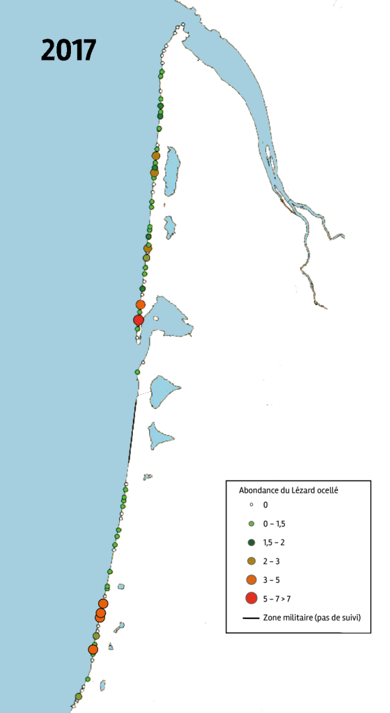 Carte de l'abondance du lézard ocellé le long du littoral aquitain en 2017