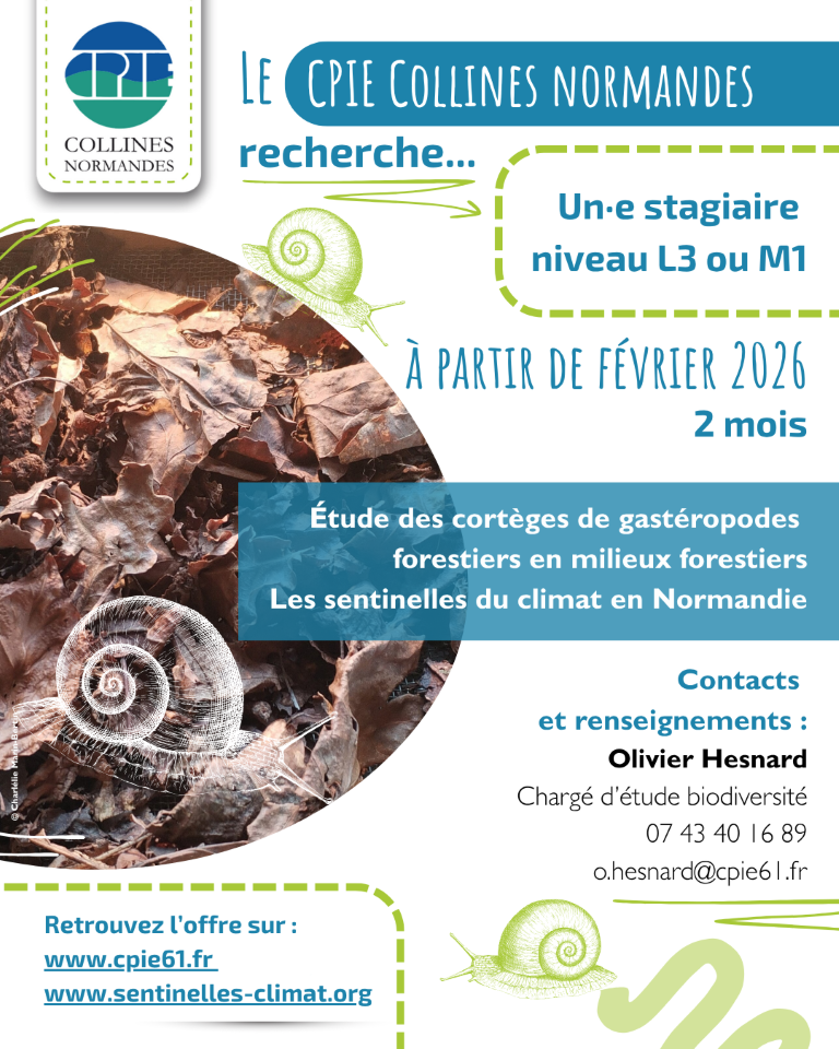 Le CPIE Collines normandes recherche un·e stagiaire niveau L3 ou M1 à partir de février 2026. 2 mois. Étude des cortèges de gastéropodes forestiers en milieux forestiers. Les sentinelles du climat en Normandie. Contacts et renseignements : Olivier Hesnard. Chargé d'étude biodiversité. 0743401689. o.hesnard@cpie61.fr
Retrouvez l'offre sur www.cpie61.fr
www.sentinelles-climat.org