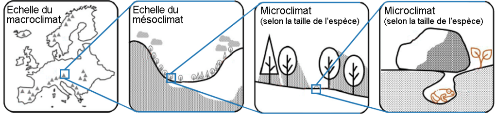 Les différentes échelles climatiques (d'après De Frenne et al., 2025)