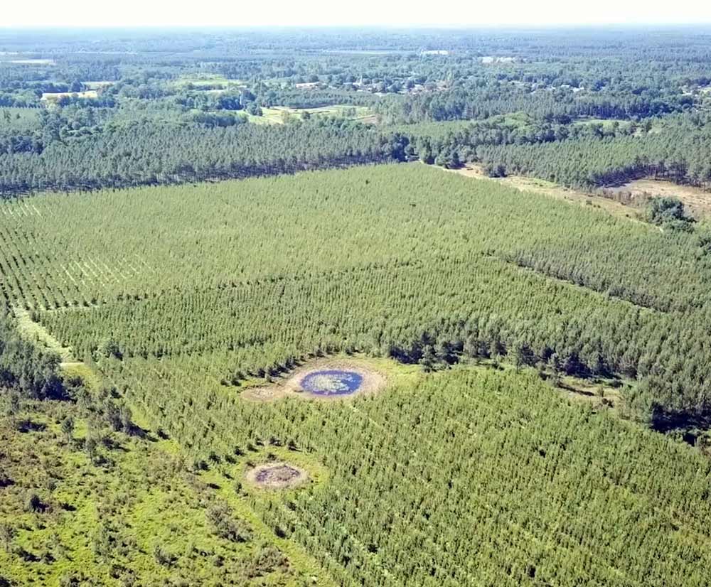 Lagunes. Photo F. Mazzocco